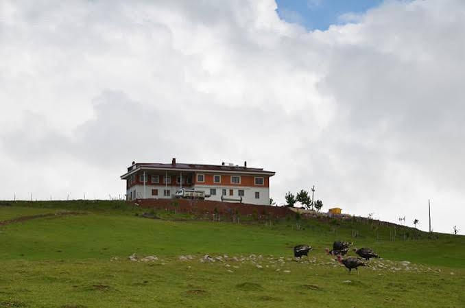 Belen Yayla Otel Aybasti Εξωτερικό φωτογραφία